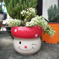 judy.ngo