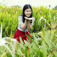 mymy3192