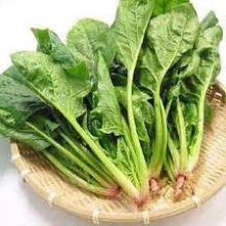 Hạt giống rau cải bó xôi .