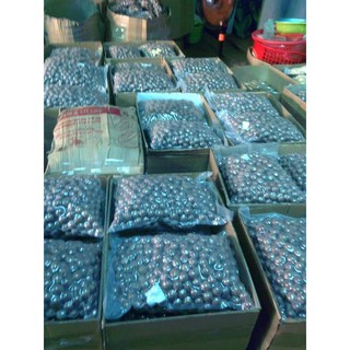 500g Hạt mắc ca sấy nứt vỏ kèm đồ khui Loại I giòn, béo, ngọt  mới sấy trong vòng 1 tuần bỏ hạt sâu, hỏng