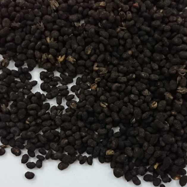 [Mã BMTTC60K giảm đến 60K đơn 50K] Phá cổ chỉ khô thượng hạng JINDO 1kg