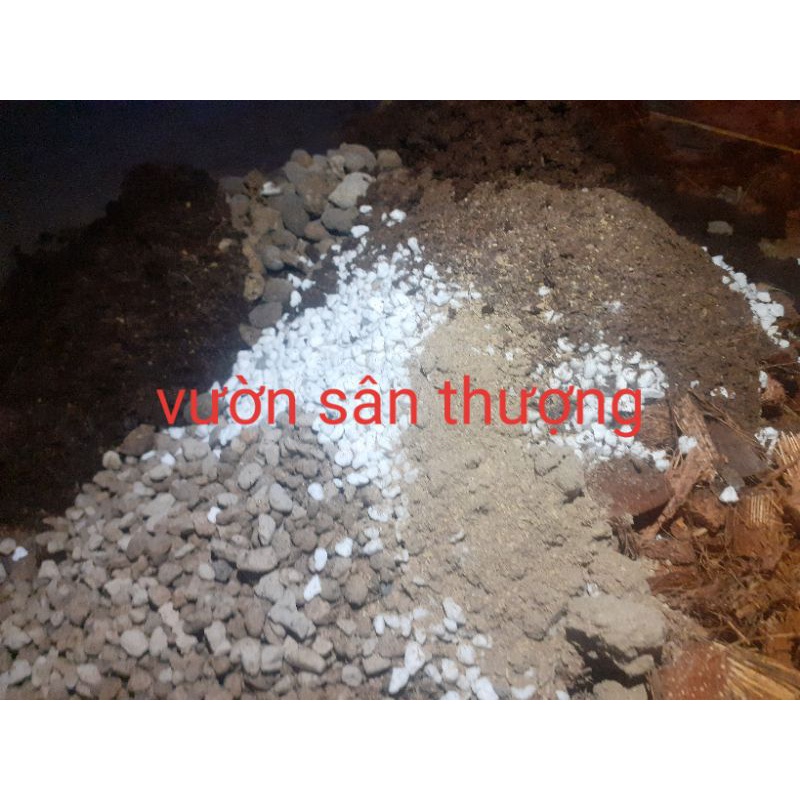 1L Giá Thể Trồng Cây Kiểng Lá Trong Nhà Cao Cấp, Thoát Nước Tốt, Không Cần Trộn