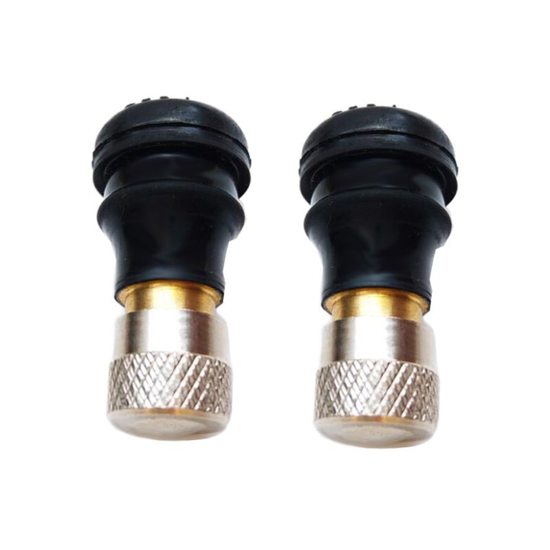 Bộ 2 Van Điện Cân Bằng Không Ruột Cho Xe Điện