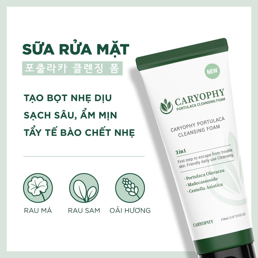 Ảnh Sữa rửa mặt ngừa mụn Caryophy Portulaca Cleansing Foam 150ml 2