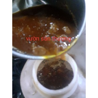 Chai 350ml Ge Thơm Ủ Bằng Rỉ Mật, Phân Bón Giúp Cây Trồng Ngừa Nấm B.ệnh Cho Lan, Mau Lành Vế.t B.ệnh