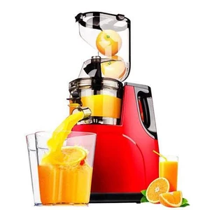 Máy ép chậm cỡ lớn Hongxin RH-312 ép rau củ hoa quả