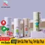 Bình Giữ Nhiệt Thủy Tinh Bọc Nhựa Lúa Mạch 450ml Họa Tiết Xương Rồng, Chống Va Đập,