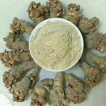 500g bột tam thất