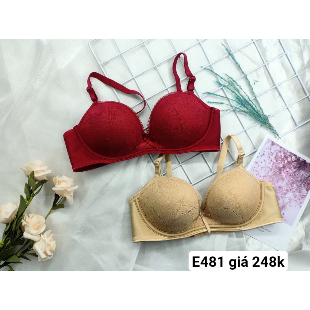 Áo Ngực Không Gọng, Áo Lót Mút Vừa E481 - Thương Hiệu 12H