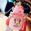 BÌNH NƯỚC DISNEY CHẤT LIỆU TRITAN390ml
