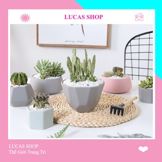 Đá/Sỏi Cao Cấp Decor Chậu Cây Cảnh, Bể Cá, Tiểu Cảnh, Lót Nền Sân Vườn Siêu Xinh
