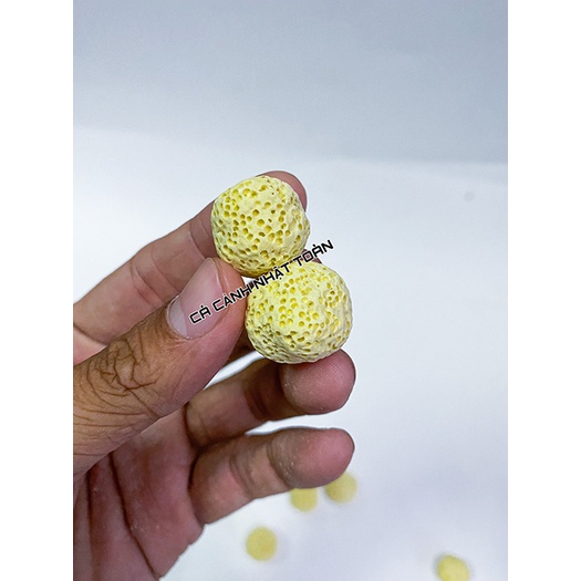 SỨ LỌC BI VÀNG VẬT LIỆU LỌC CHO BỂ CÁ CẢNH PHÂN LẺ