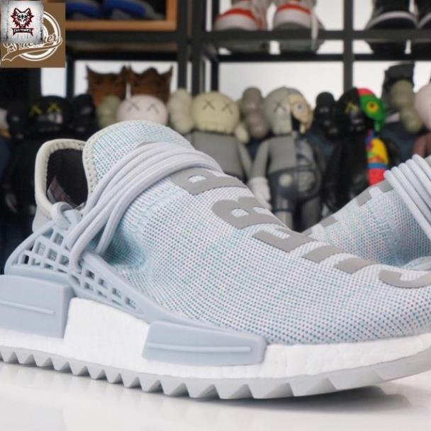 Cuerpo terre human race store
