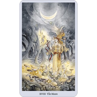 Bộ Bài Shadowscapes Tarot – Bookset Edition (Mystic House Tarot Shop) - Bài Gốc Authentic Chính Hãng 100%