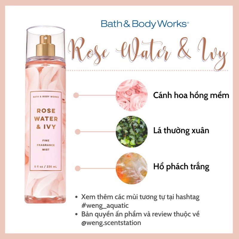 Rose water and online ivy body mist review