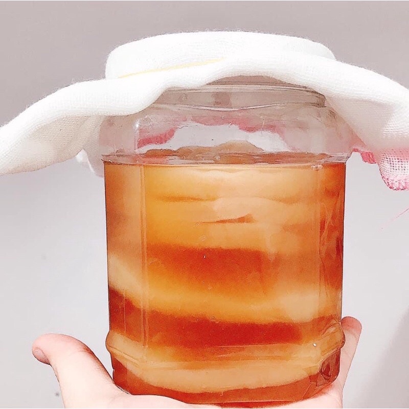 Combo Scoby Và Nước Mồi Làm Trà Kombucha - An Toàn, Tốt Cho Sức Khỏe 🔸 Anna Home