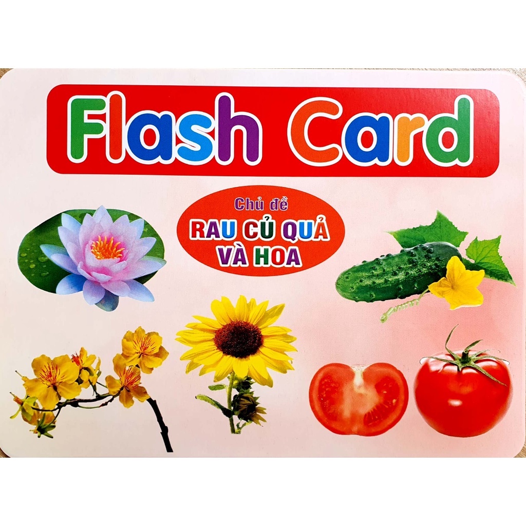 Ảnh Bộ thẻ Flashcard song ngữ Việt Anh - Dạy trẻ về thế giới xung quanh 19 chủ đề (phương pháp Glenn Doman) (Việt Hà) 3