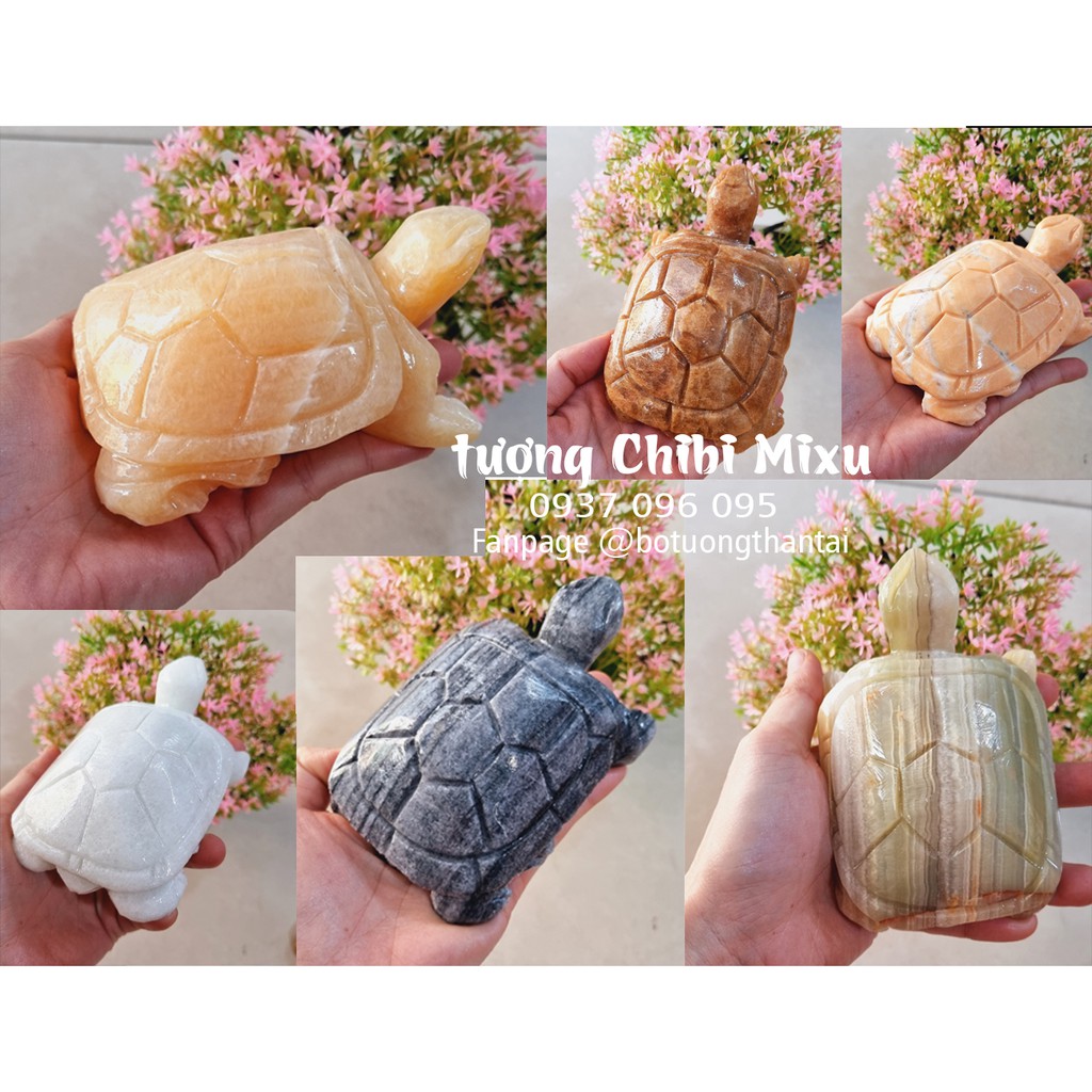 (Chọn màu) Cụ Rùa đá size 12cm | Shopee Việt Nam