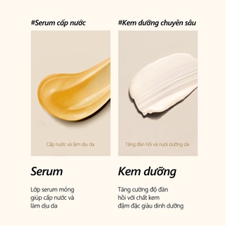 [d'Alba Official] Serum và kem dưỡng 2 ngăn nấm Truffle trắng d'Alba ...