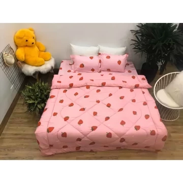 Trọn bộ 5 món chăn phao ga gối poly như hình được chọn mẫu chăn chăn phao chăn ga gối poly l ga gối