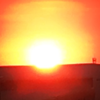 doanthutrang_2501