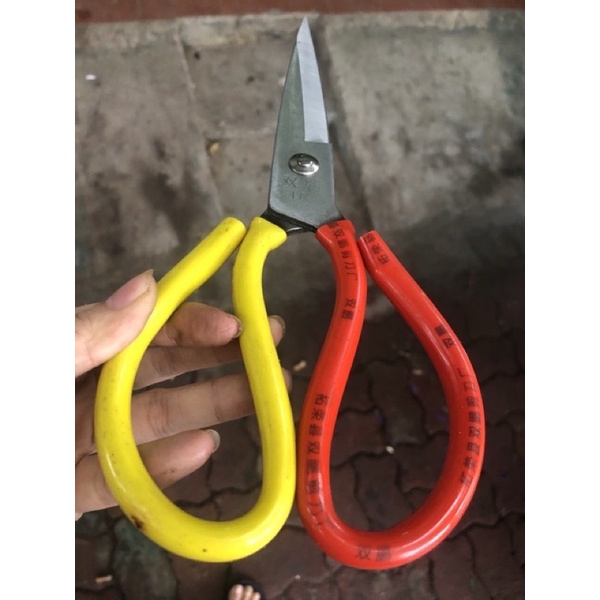 Kéo làm cá, đồ ăn thép không gỉ, size lớn kéo vàng đỏ