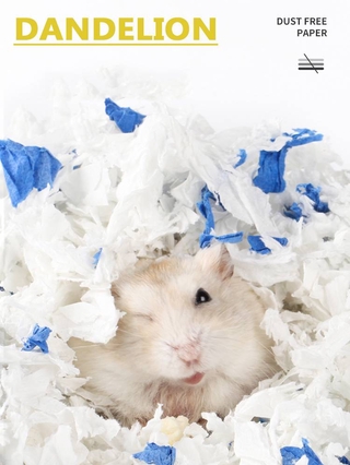 [DELION] Bộ đồ giường Hamster Trang trí tổ Hamster Giấy không bụi Cotton Chuột Lang Lồng Bông Bóng Phụ kiện thú cưng 450g