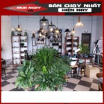 ĐÈN GỖ THẢ TRẦN QUÁN CAFÉ, NHÀ HÀNG Đèn gỗ thả trần gia công trang trí nhà và decor quán cafe bền đẹp, độc, lạ hiện đại — ảnh 3