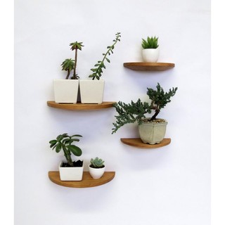 01 kệ treo tường decor trang trí nửa hình tròn gỗ thông để đồ lưu niệm cây cảnh mini