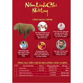 Nấm Linh Chi Đỏ Nhất Long Chính Hãng, Còn Bào Tử Thượng Hạng Dạng Hộp - Hàng Loại 1 - 250g