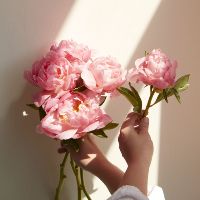 ha_oanh1111