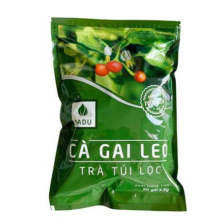 Lợi ích của việc uống trà Cà Gai Leo là gì?
