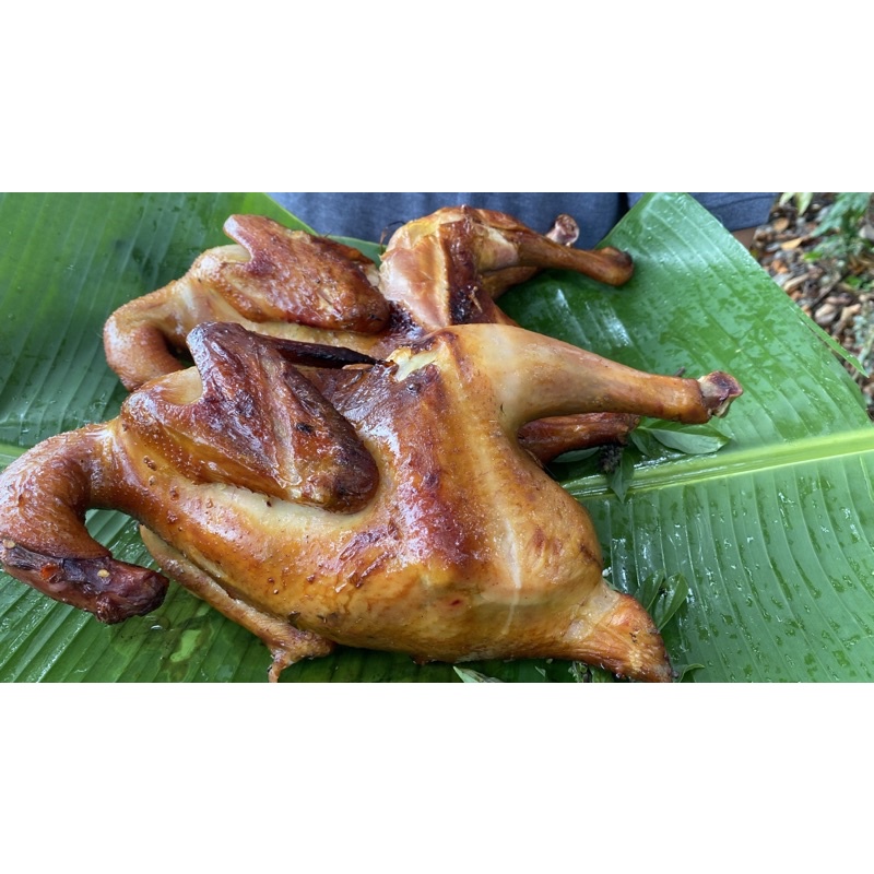 Lò nướng than tách khói 65L