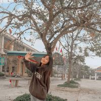 phthao196