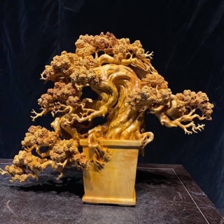 nguenhien12345