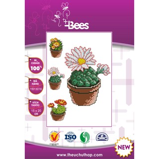 Bộ mẫu thêu chữ thập cây xương rồng
