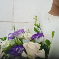 danpxpxpx