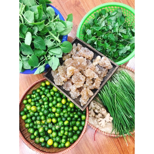 Siro thảo mộc húng chanh