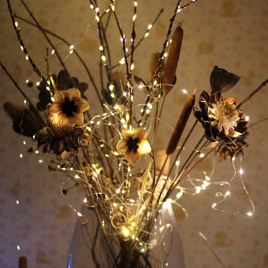 Đèn LED ĐOM ĐÓM ( Led dây) dùng Pin trang trí cây hoặc decor Vintage