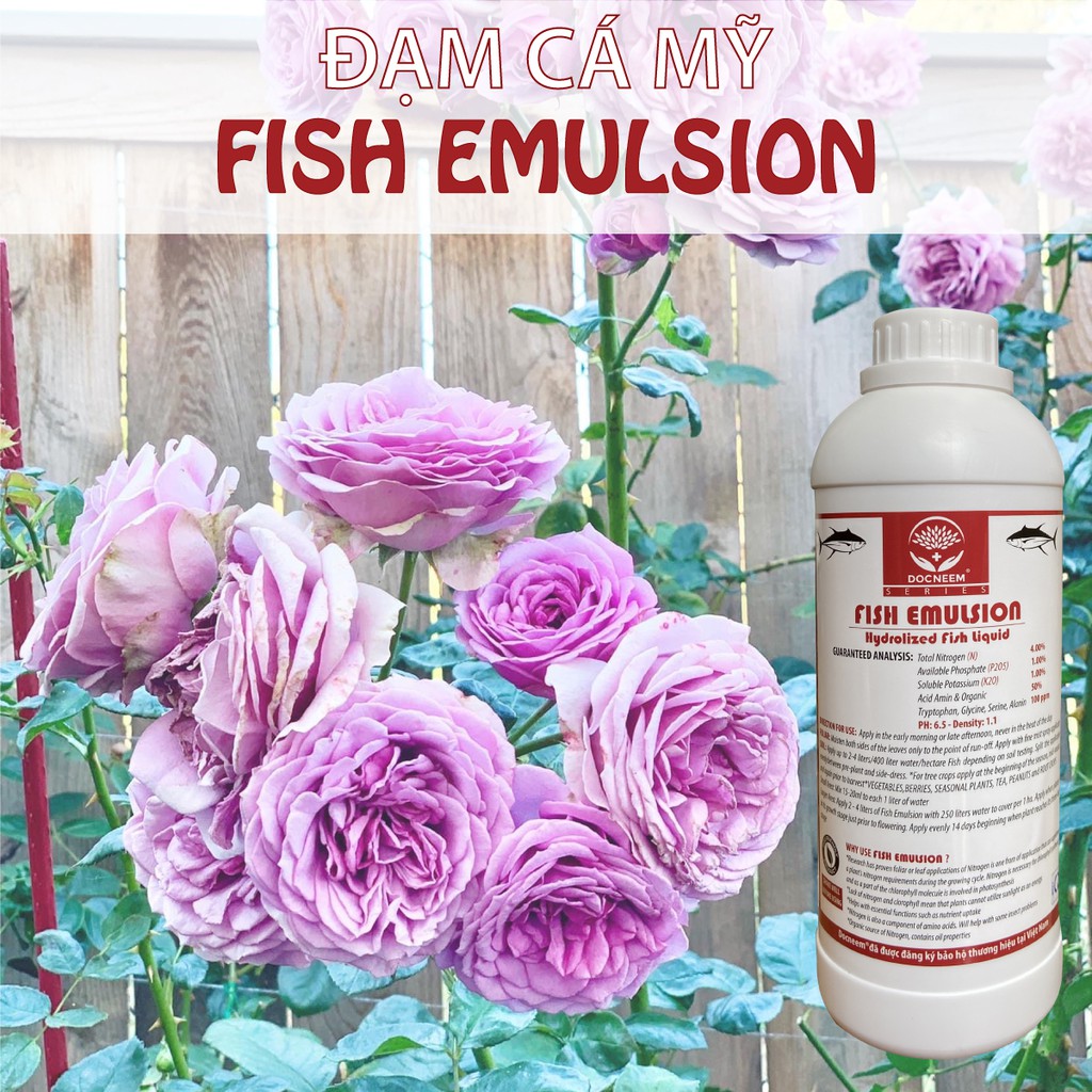 Ảnh Phân đạm cá Docneem, phân cá Fish Emulsion hữu cơ cho hoa hồng, rau sạch, hoa, cây cảnh trong nhà ngoài trời, chai 1L 2