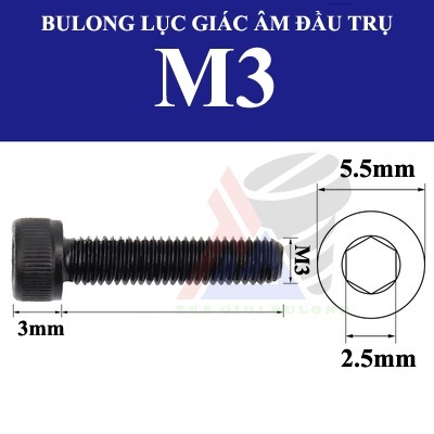 10 con Bulong lục giác chìm đầu trụ thép đen M3 nhiều kích thước ...