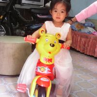 nguyenphamphuonglinh2013_2017