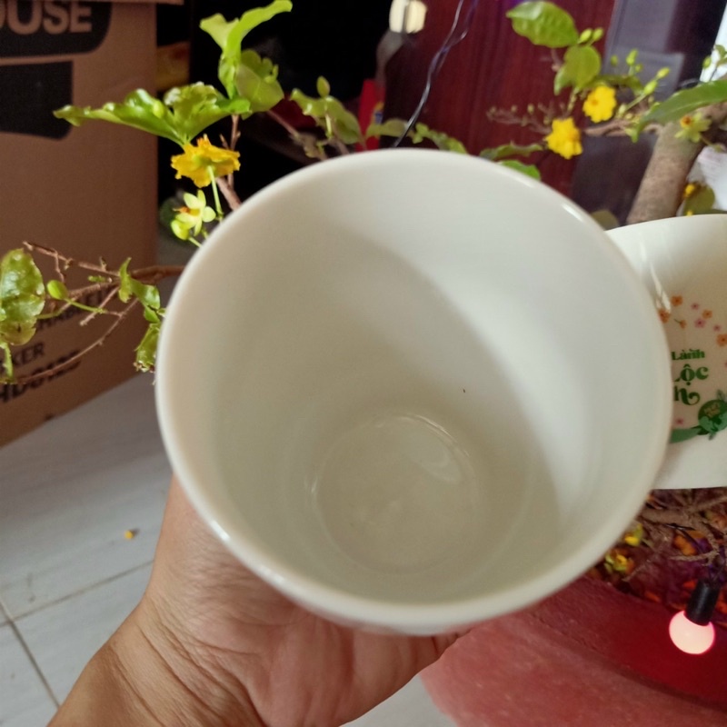 Bộ 2 ly sứ Donghwa hàng khuyến mãi Nestle