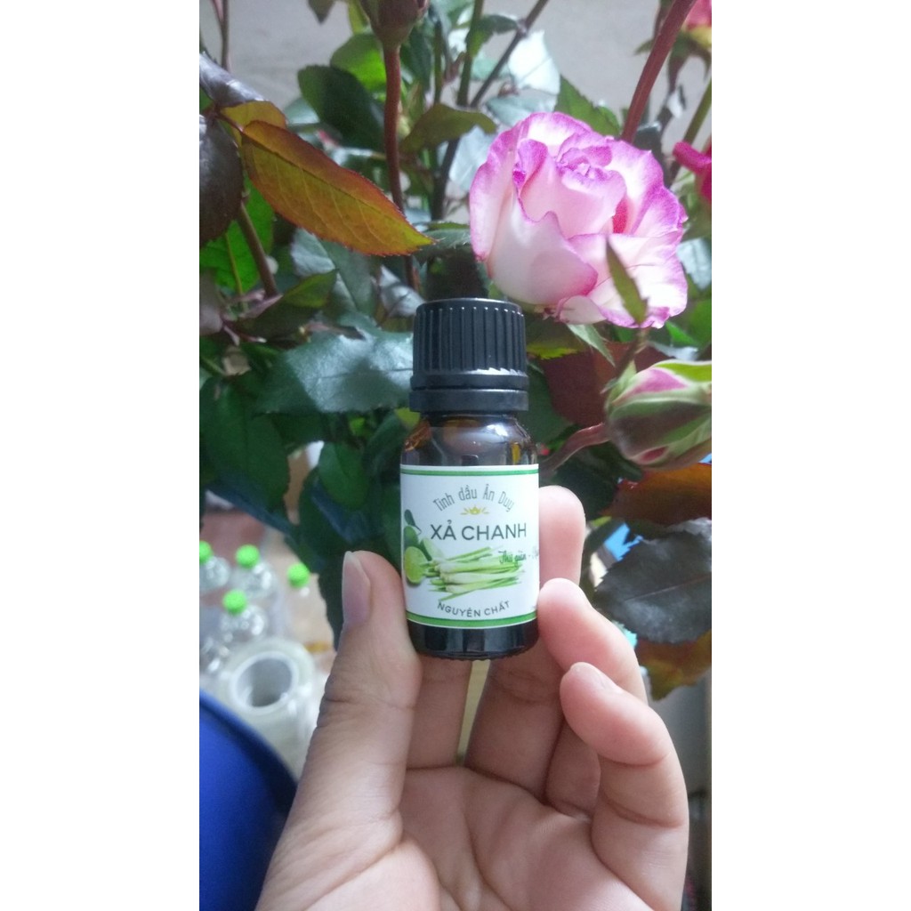 Tinh dầu sả chanh 10ml