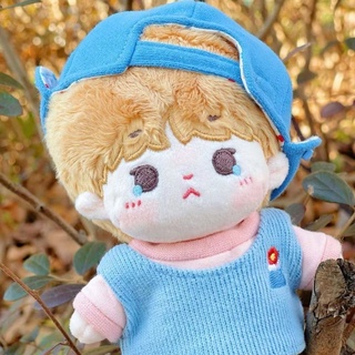 [SẴN] Doll Lưu Diệu Văn 10cm 15cm 20cm 40cm - Búp bê Lưu Diệu Văn TNT Thời đại thiếu niên đoàn DO1