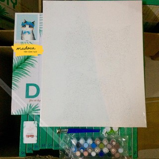 Tranh tô màu số hóa Madoca có khung 40x50cm Mèo nơ xanh T74