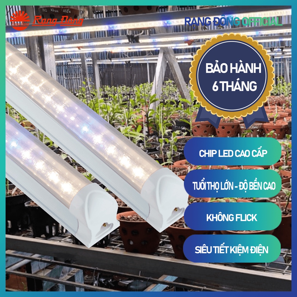 Đèn LED nuôi cấy mô, trồng rau, cây dược liệu, hoa lan Rạng Đông chính ...