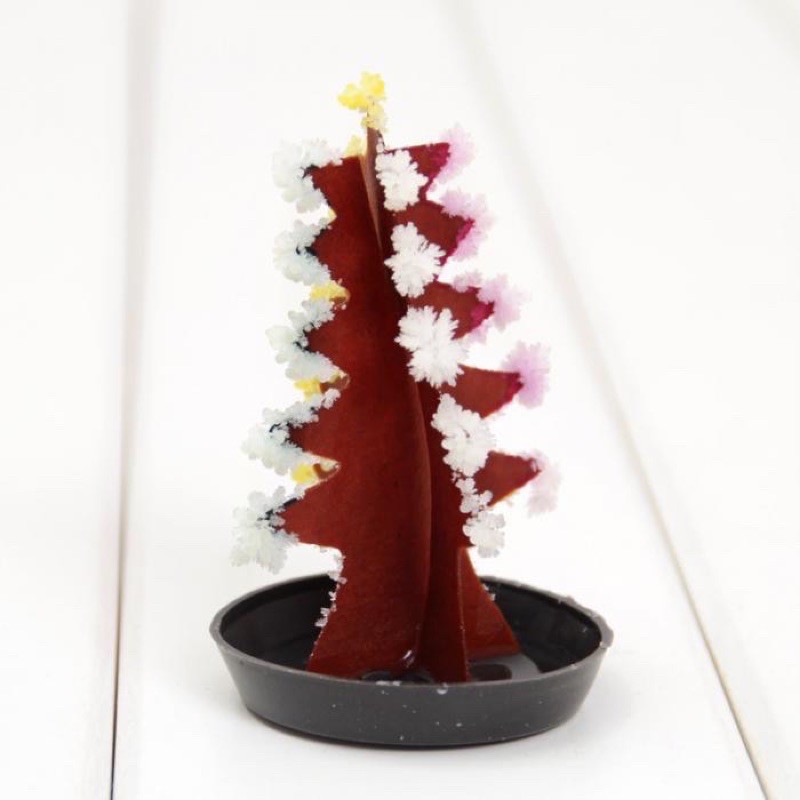 Cây thông Noel tự nở hoa thần kì-Xmas Tree