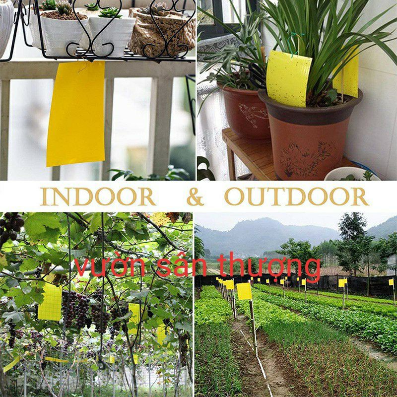 [Kèm Dây Treo] 1 Miếng Bẫy Dính Ru.ồi Vàng 15x20cm, Và Một số Loài Cô.n Trù.ng Gây H.ại Bằng Biện Pháp Cơ Học, A.n Toàn