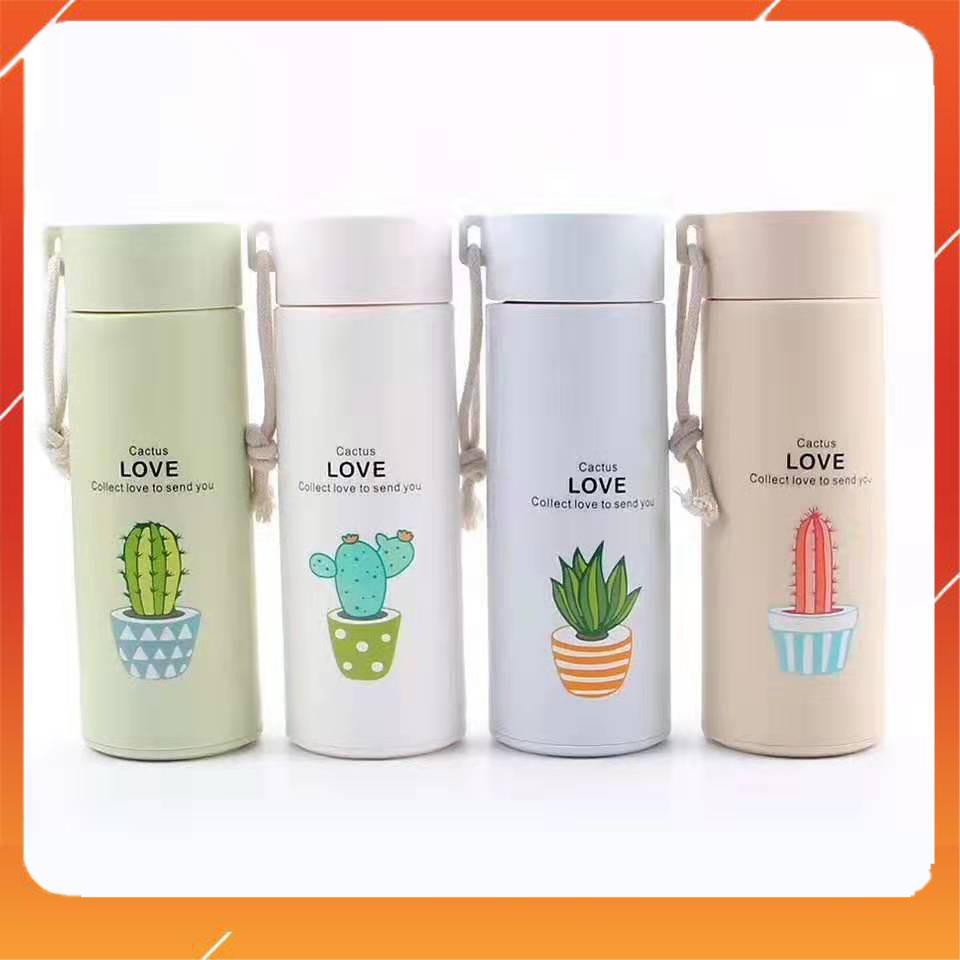 Bình Giữ Nhiệt In Hình Xương Rồng 450ml Lõi Thủy Tinh Bọc Và Nhựa Lúa ...